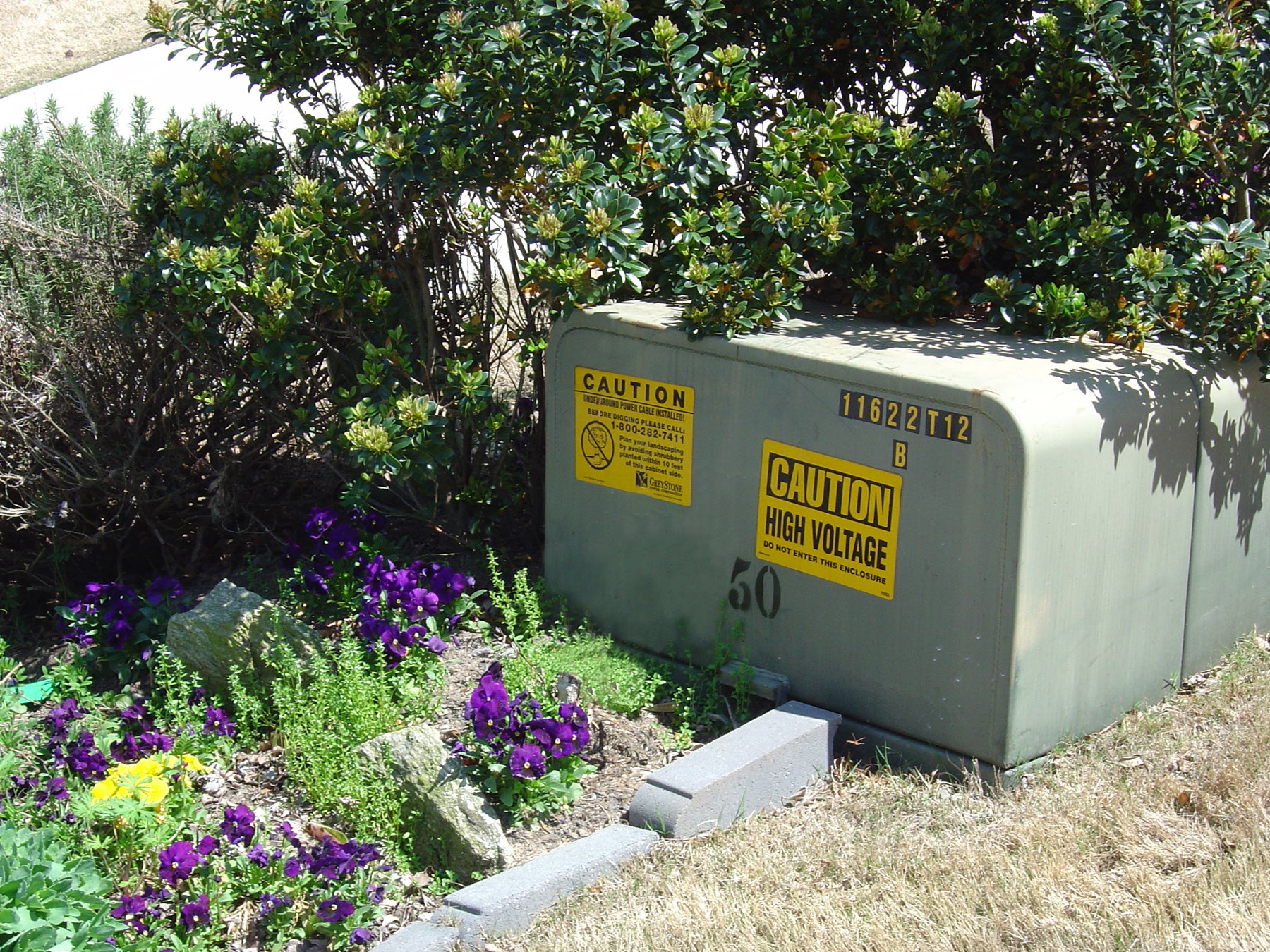 Transformer with Vegetation