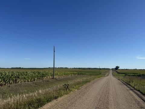 Rural Electric Poles