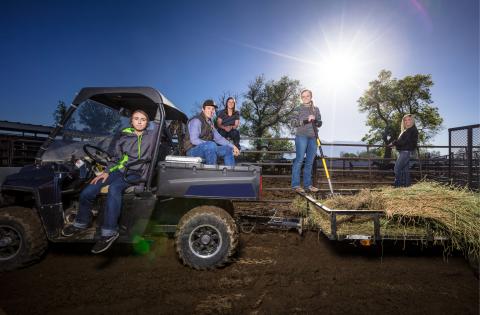 Electric UTV