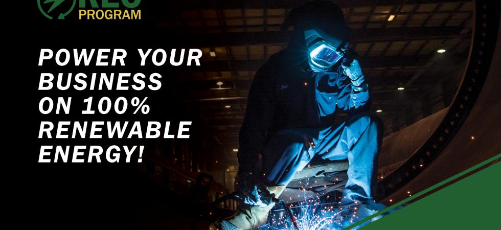 Power your Business on 100% renewable